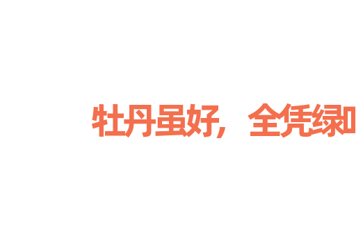 牡丹虽好,全凭绿叶扶持